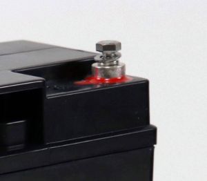 EcoLine - AGM 12V - 20AH VRLA Battery - 181 x 77 x167 - Deep Cycle Battery